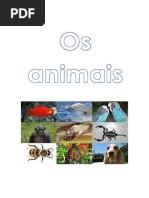 animais.docx