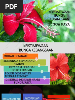 Keistimewaan Bunga Kebangsaan Pdf