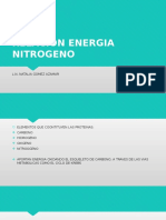 Relacion Energia-Nitrogeno