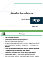 Aspectos de producción.pdf