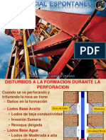 Registro SP PDF
