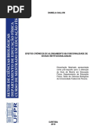 Dissertação Daniela Gallon.PDF