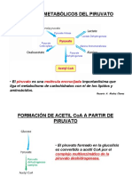 17 Piruvato Deshidrogenasa PDF