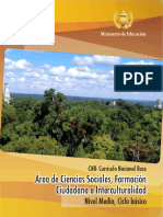 CNB_Ciencias_Sociales_Ciclo_Básico.pdf