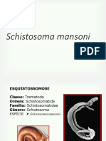 6.schistosoma Mansoni