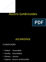 8.Ascaris Lumbricoides [Salvo Automaticamente]