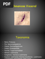 16.Leishmaniose Visceral Americana (LVA)