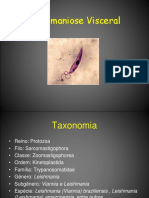 Leishmaniose visceral: sinais, causas e tratamento