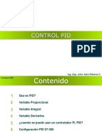 PID PRINCIPIOS.pdf