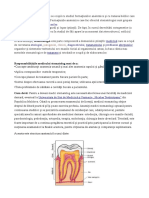 Stomatologia