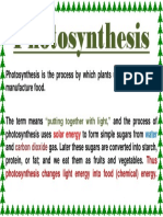 Photosynthesi1.docx
