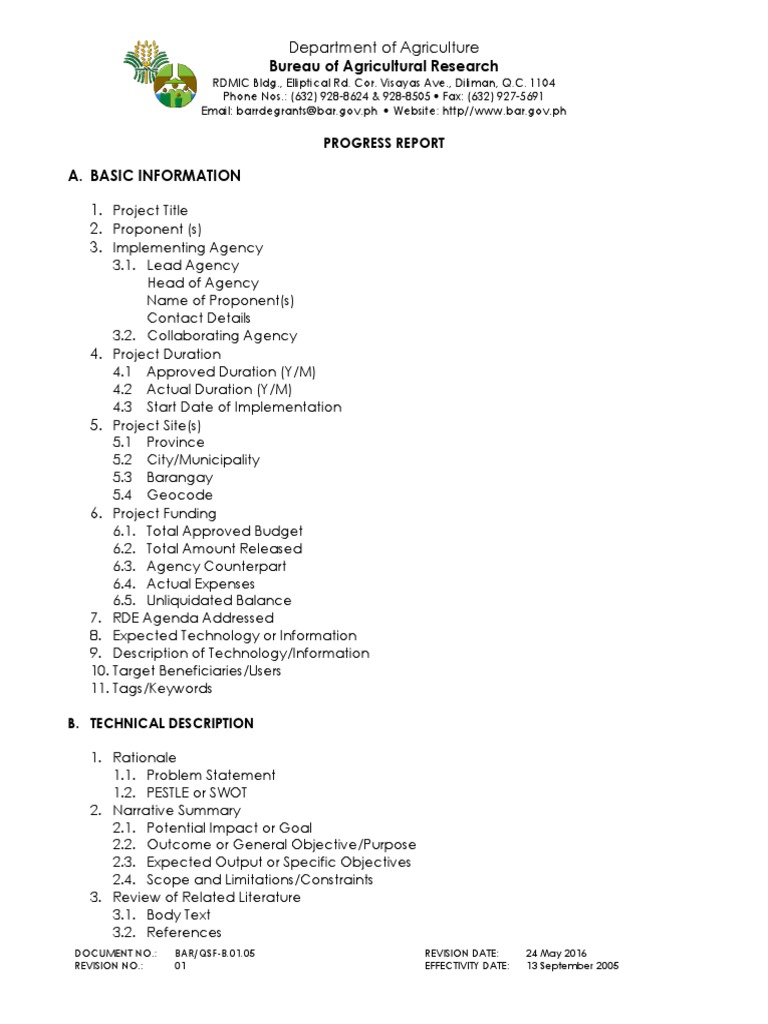 Progress Report Template for Projects | PDF