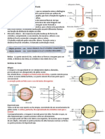 Optica da Visão.docx