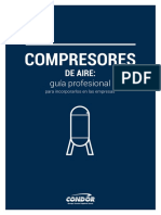 COMPRESORES DE AIRE - Guia profesional para incorporarlos en las empresas.pdf