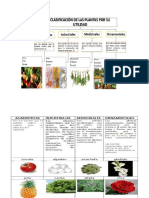 LAS PLANTAS Y SU UTILIDAD.docx