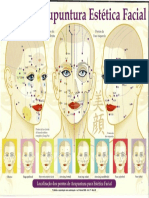 Mapa-Estetica-Facial.pdf