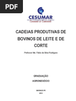 CADEIAS PRODUTIVAS DE bovino leiteiro e de corte.pdf