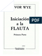 Flauta Iniciación Treovor Wye