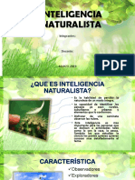 Inteligencia Naturalista