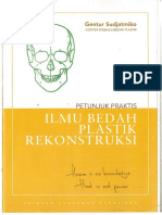 Gentur Plastik PDF