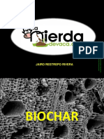 Biochar PDF