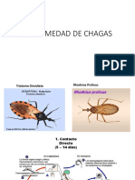 Enfermedad Chagas