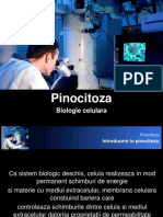 Pinocitoza