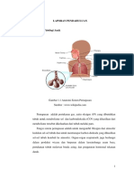 Laporan Pendahuluan Asfiksia