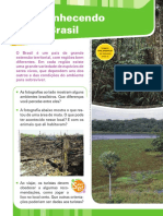 A floresta Brasileira.pdf