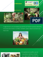 agricultura de conservação.pptx