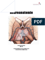 morpho_2013d.pdf