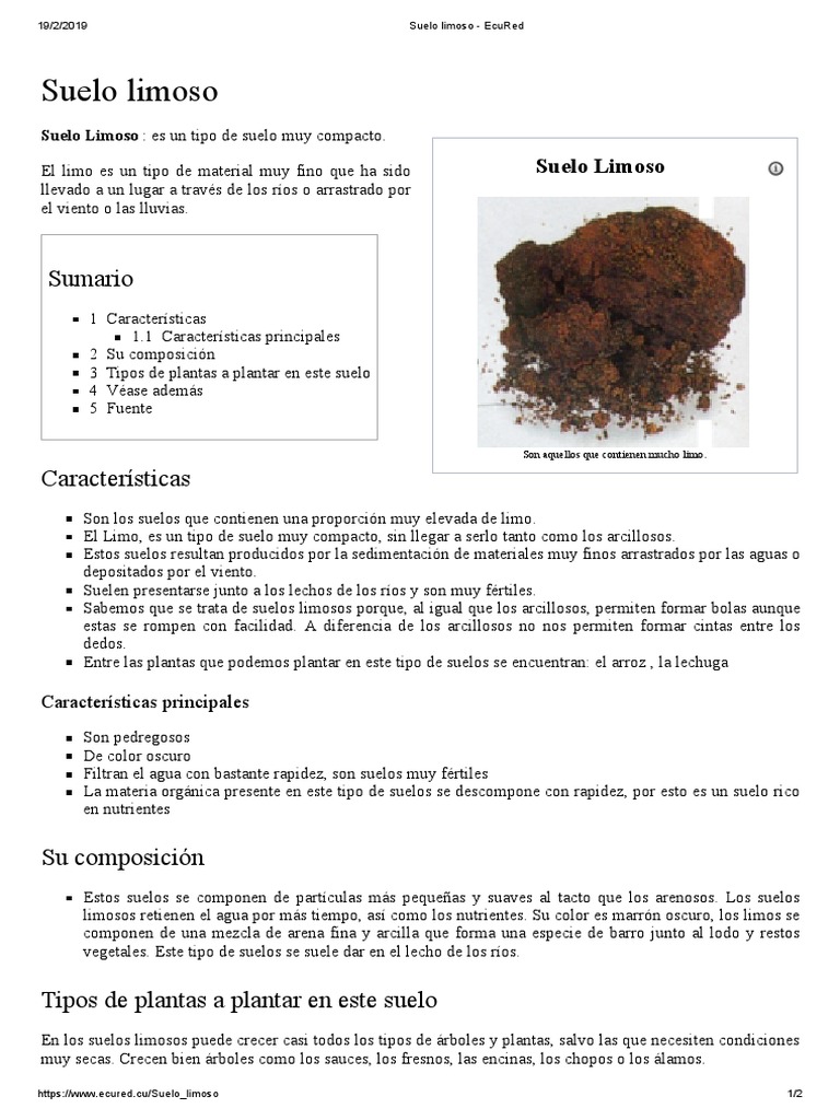Características y usos de los suelos limosos | PDF | Suelo | Plantas