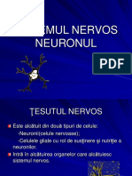 NEURONUL