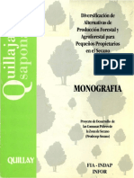 Monografia Quillay PDF