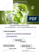 373345435-Practica-Histologia-Tejido-Epitelial-y-Glandular.pptx