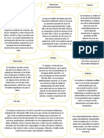 Mapa Conceptual