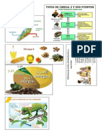 Los Alimentos Omega