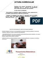 Diapositivas Estructura Curricular