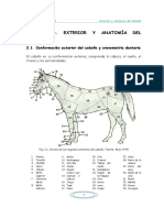 Comunidad Emagister 59201 Exterior y Anatomia Del Caballo PDF