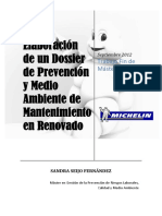 EJEMPLO-DOSSIER-DE-SST.pdf