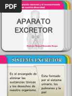 SISTEMA EXCRETOR 2.ppt