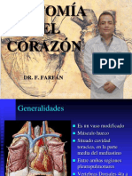 ANATOMIA DEL CORAZON - DR F FARFAN.pdf