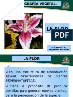 La flor - fruto