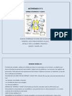 Actividad 4 y 5