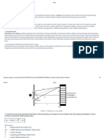 OPTIKA.pdf