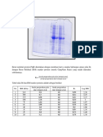 analisis data SDS-PAGE.docx