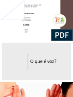 A VOZ - Fafi PDF