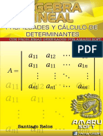Cap_Determinantes.pdf