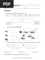 Santillana M1 Ficha de Trabalho 36