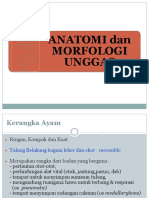 3-anatomi-unggas.pptx